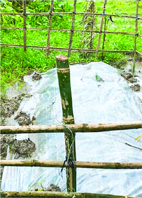Image of মো: শাওন শিকদার